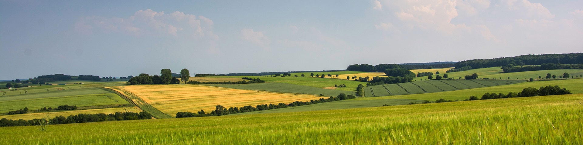 Die Eifel im Frühling