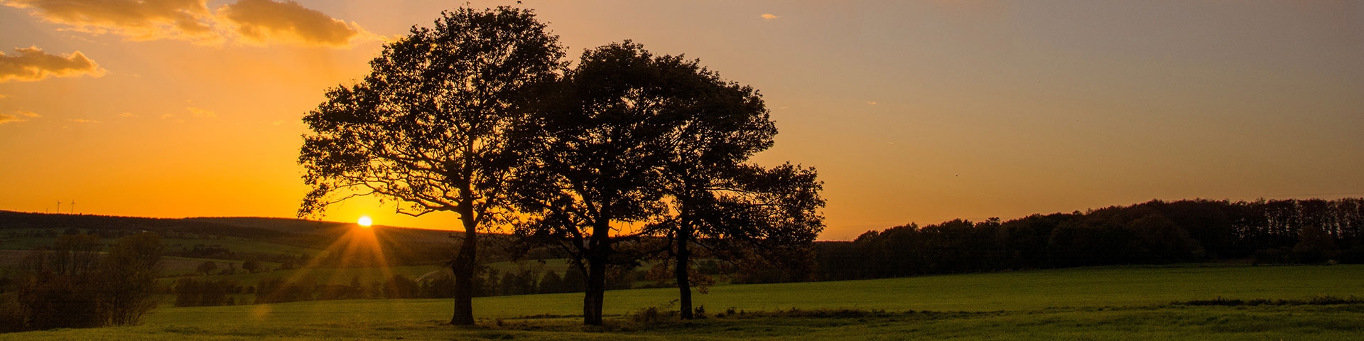 Die Eifel im Frühling